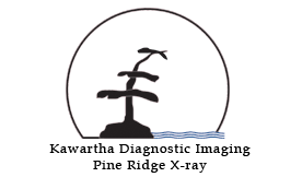 KDI/PRX Logo